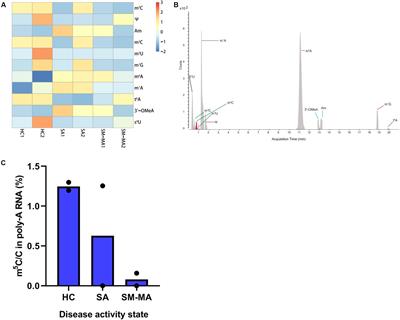 Disease Activity-Associated Alteration of mRNA m5 C Methylation in CD4+ T Cells of Systemic Lupus Erythematosus